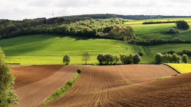 Land Acquisition and Resettlement Action Plan (LARAP) Training