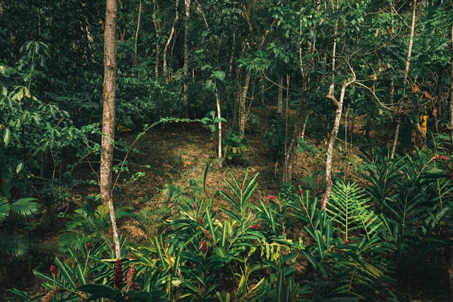 Biodiversity and Environmental Modeling