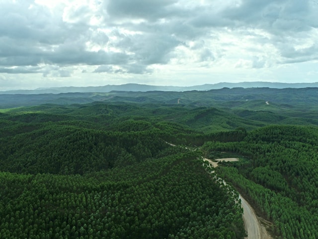 Provincial Environmental Protection and Management Plan (Rencana Perlindungan & Pengelolaan Lingkungan Hidup (RPPLH))